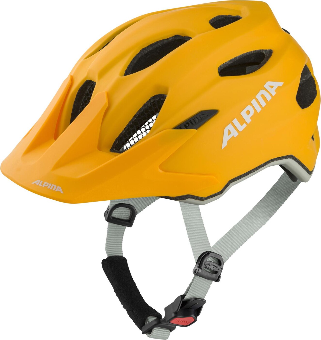 ALPINA CARAPAX JR.